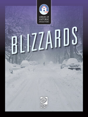 cover image of Blizzards